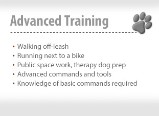 Advanced Training