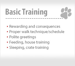 Basic Training